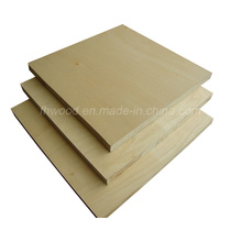 Birch Plywood